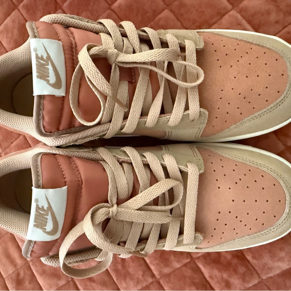 Nike Dunk Low Retro SE in the "Hemp/Terra Blush" colorway - Picture 2 of 7